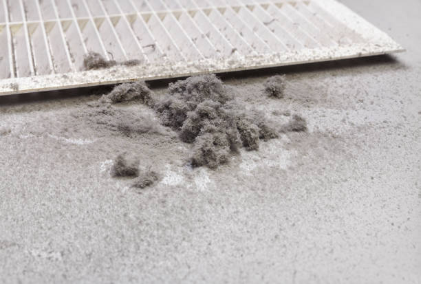 Best Air Vent Cleaning Services  in West Ocean City, MD